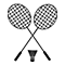 Adani Airica